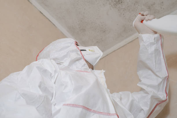 Mold Documentation for Insurance Claims in Norwood, NJ